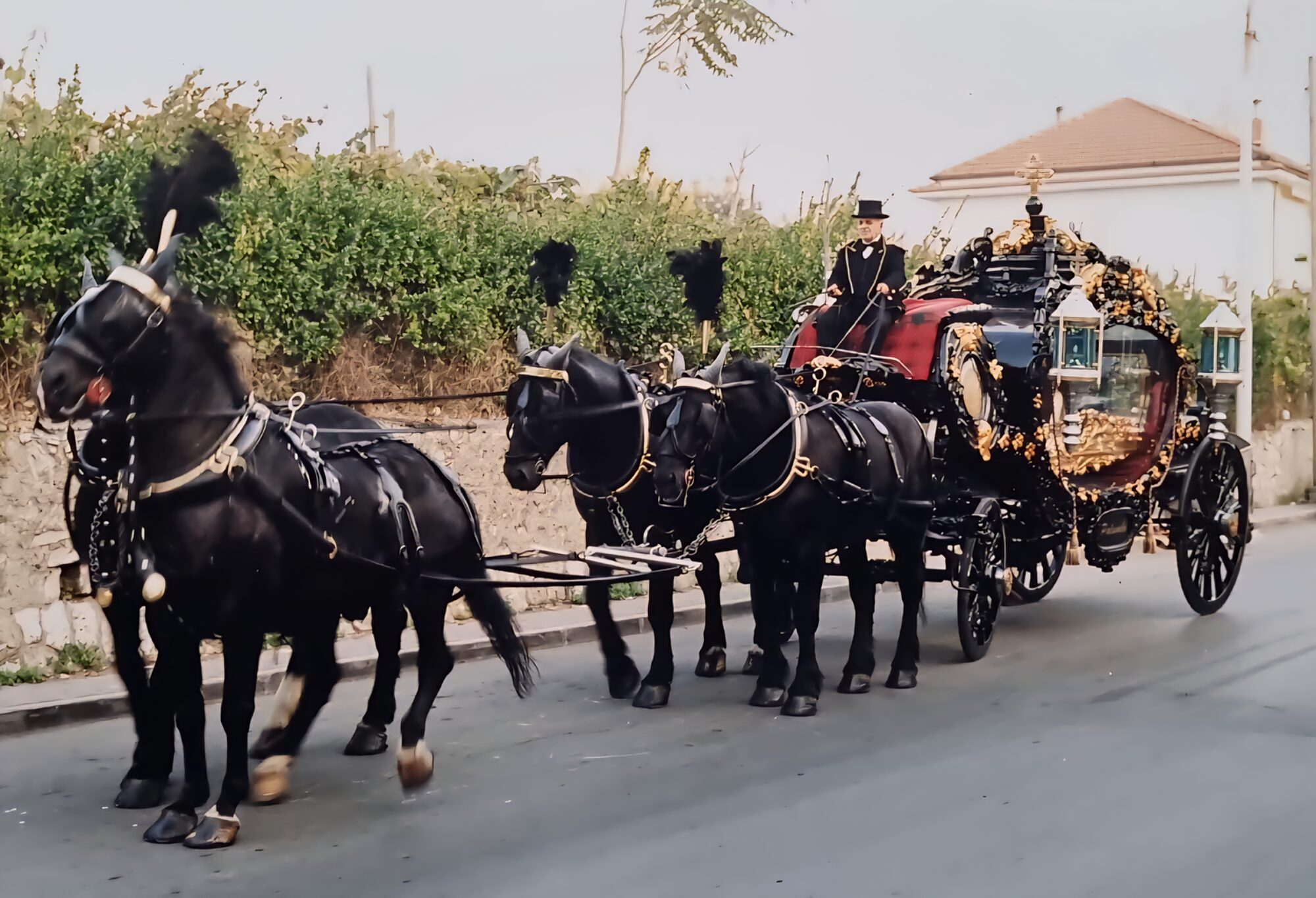 Storico carro funebre trainato da cavalli neri della famiglia Palumbo per le vie di Angri
